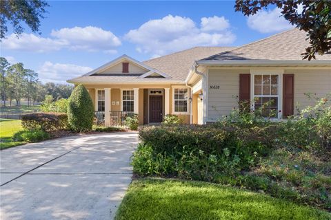 A home in MOUNT DORA