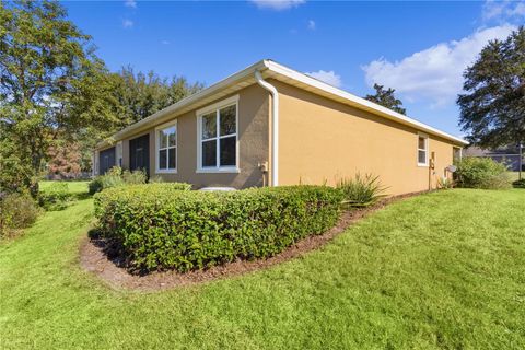 A home in MOUNT DORA