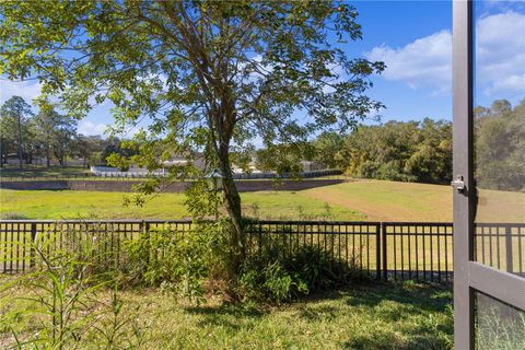 A home in MOUNT DORA