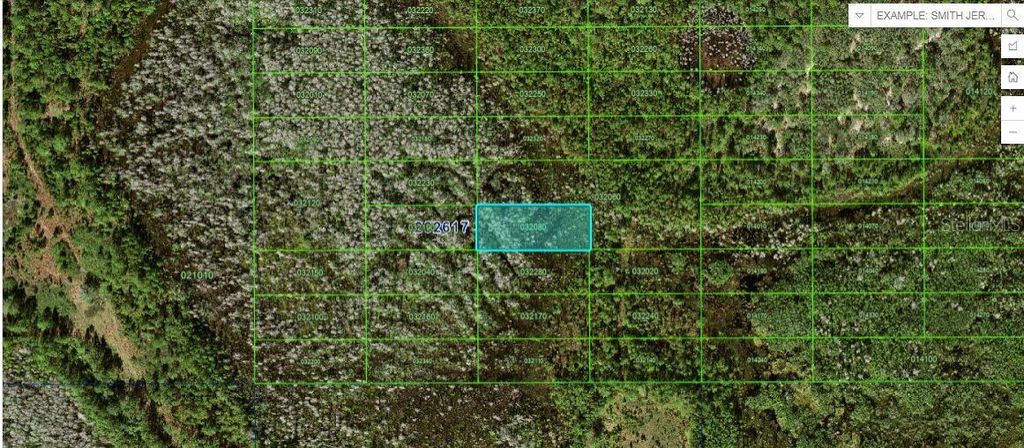 Photo of Old Grade Rd, Polk City, FL 33868 (MLS # O6265125)