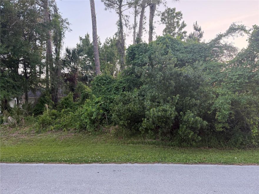 Buy now build later! Build your new home in this  Lovely Pine lakes community !. Close to the golf course, churches and restaurants ! Close to the New Advent Hospital .