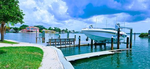 A home in ST PETE BEACH