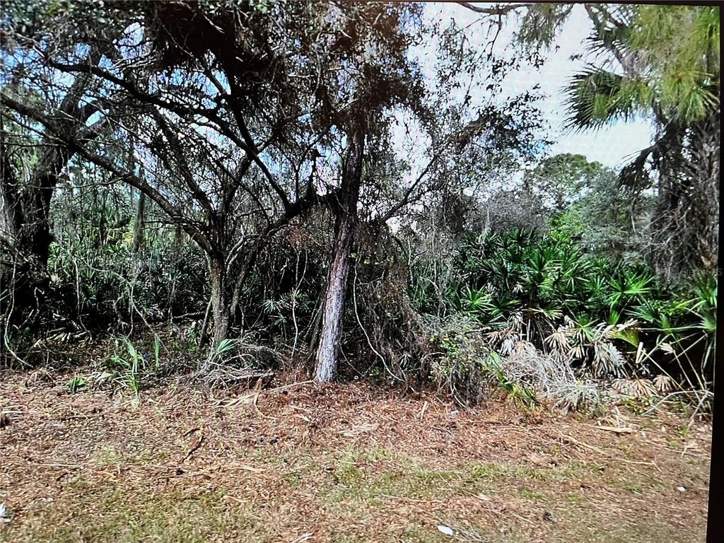 Photo of 21 Surf Avenue, North Port, FL 34291 (MLS # N6135874)