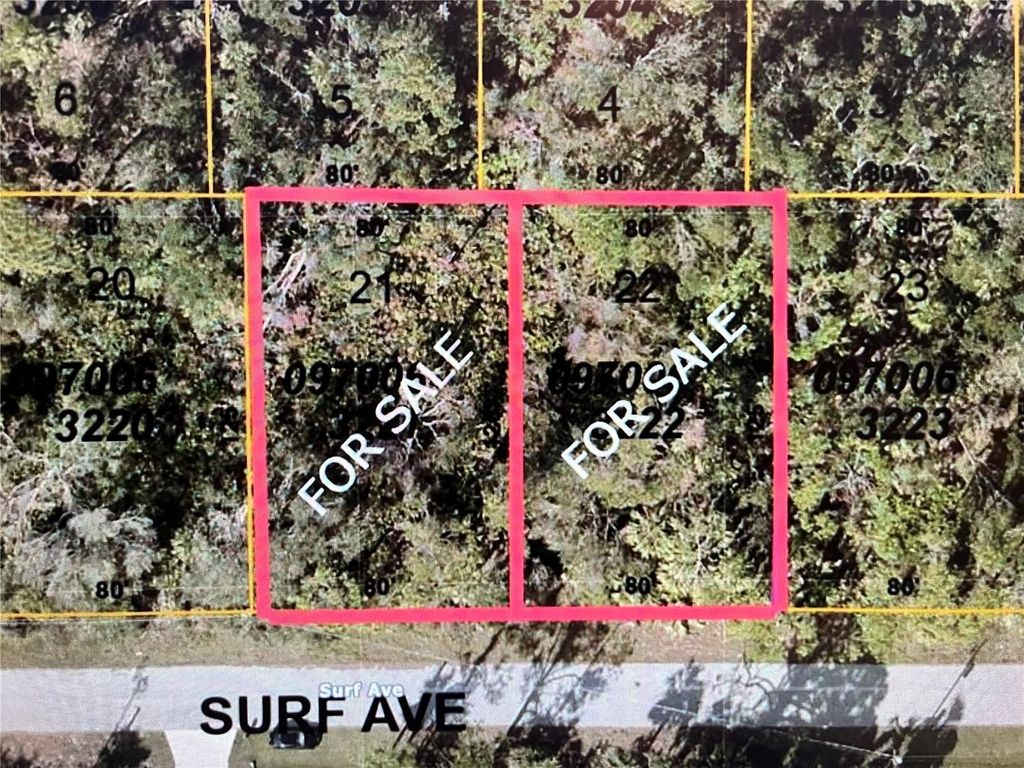 Photo of 21 Surf Avenue, North Port, FL 34291 (MLS # N6135874)