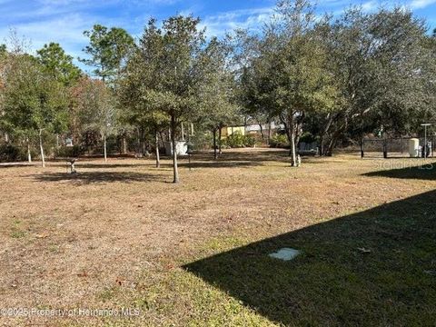 A home in WEEKI WACHEE