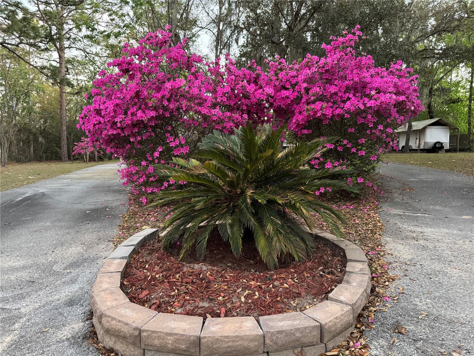 LECANTO ACRES UNIT 01 - Residential