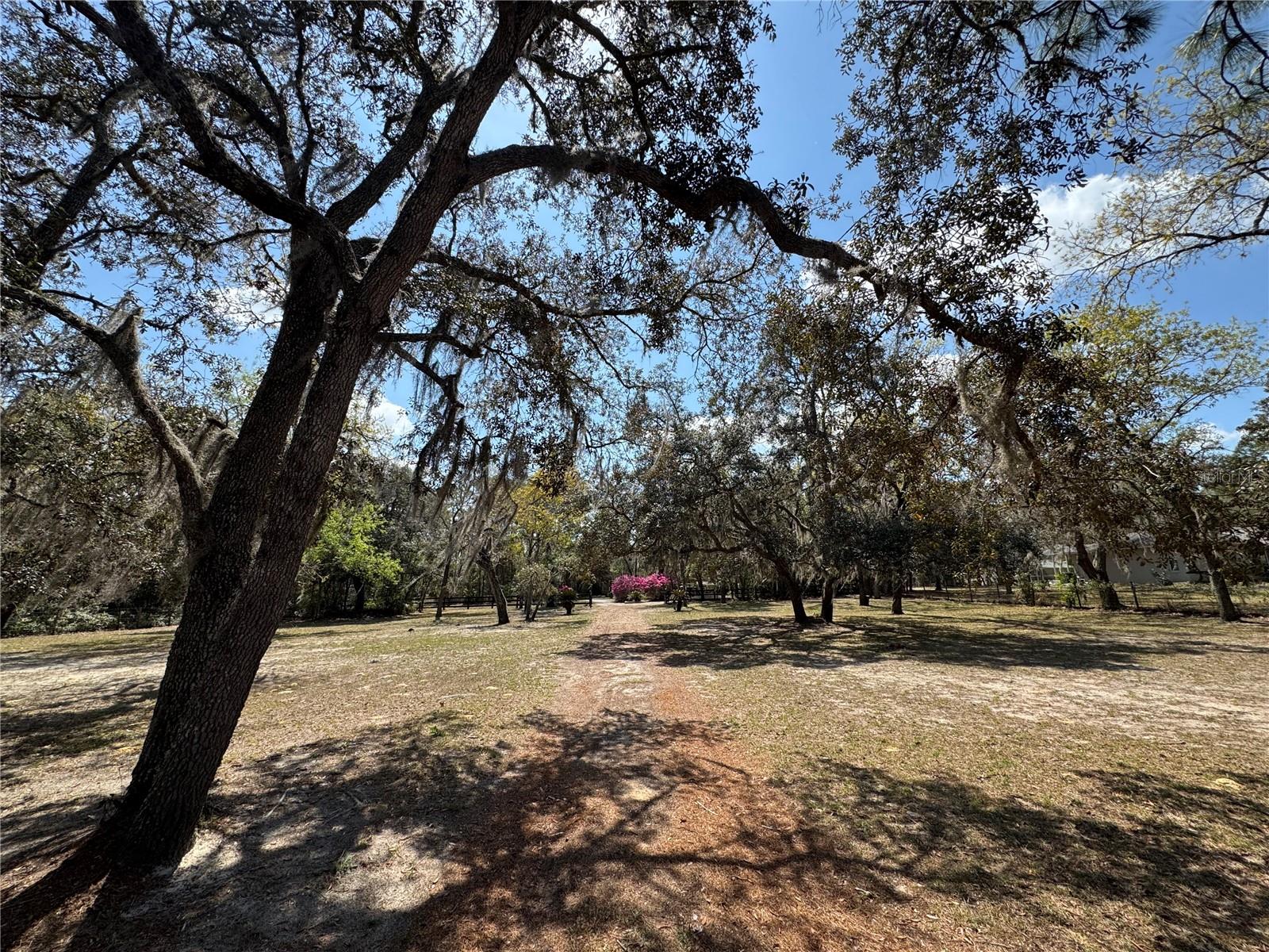 LECANTO ACRES UNIT 01 - Residential