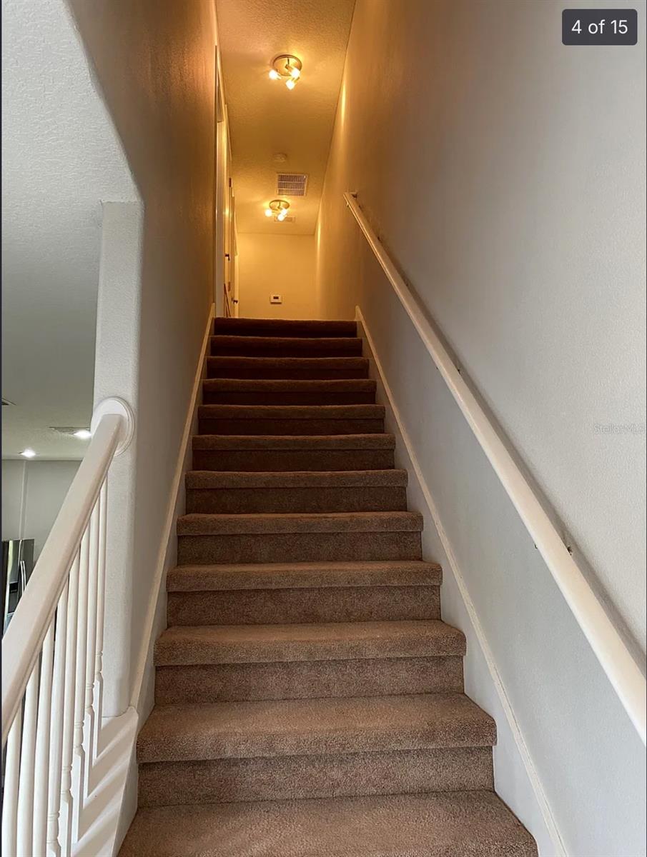 HAMMOCKS - Residential Lease