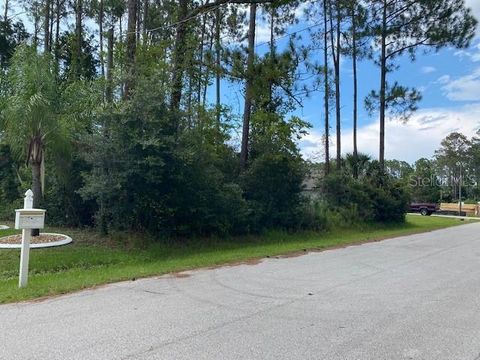 35 RAMBLEWOOD DRIVE PALM COAST FL 32164