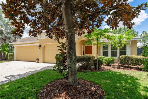 A home in LITHIA