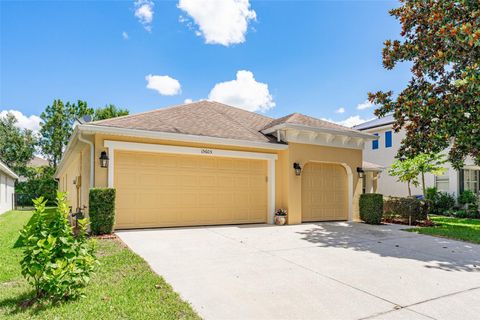 A home in LITHIA