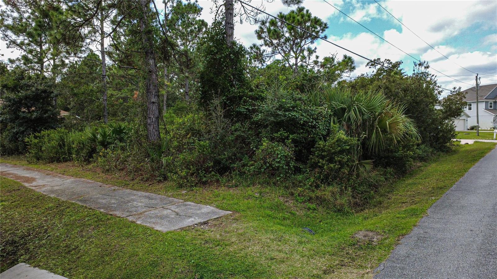 PALM COAST MAP LAKEVIEW SEC 37 - Land