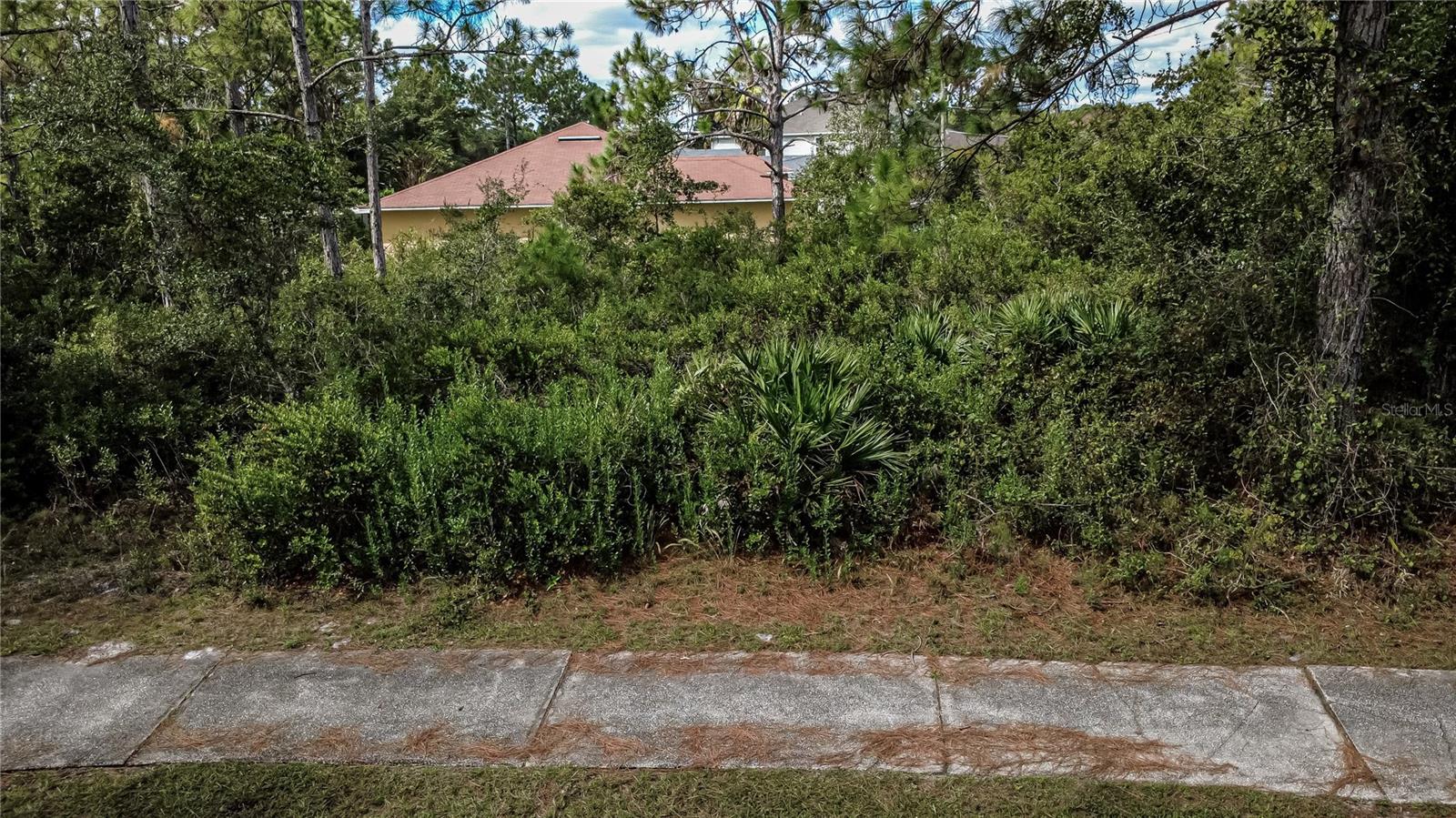 PALM COAST MAP LAKEVIEW SEC 37 - Land