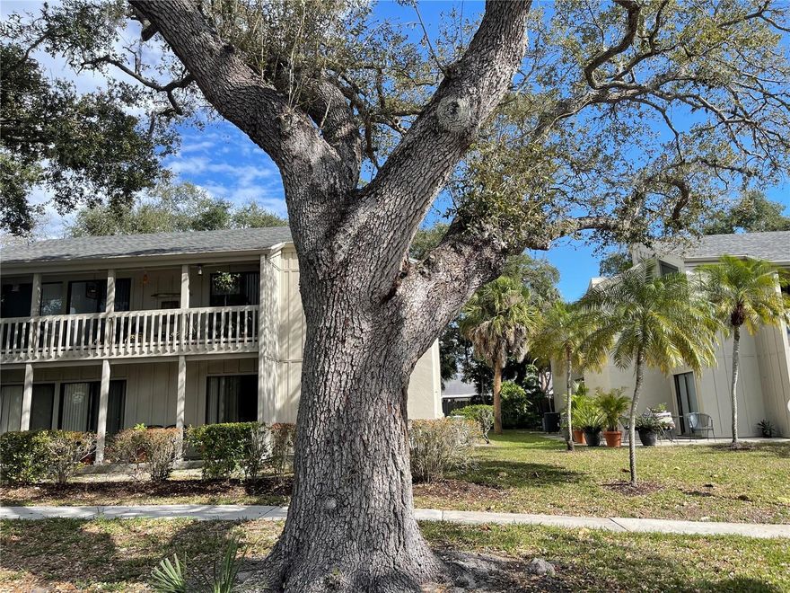 Step into this stylishly updated 2 bed, 2 bath condo just minutes from vibrant downtown Sarasota!  Light-filled and airy, this inviting, quiet, second floor unit offers a fantastic location near top restaurants, boutique shopping, and only a 15 minutes walk to Sarasota Memorial Hospital-ideal for snowbirds, healthcare professionals, or anyone craving convenience with a touch of tranquility.  Enjoy 2 tastefully renovated bathrooms featuring light cabinetry, classic subway tile, glass shower doors, and modern fixtures.  The lofted ceiling and transome windows provide light and spaciousness.  The kitchen shines with stainless stell appliances, granite countertops, a new Kohler sink, and updated hardware--perfect for whipping up meals or entertaining guests.  Two screened balconies let you soak in the peaceful wooded views and Florida Breezes.  Additional updates include new interior doors, window treatments, upgraded electrical outlets and switches plus a clever lofted attic space in the primary bedroom--tucked behind a charming barn door for a bonus storage or a cozy reading nook.  Whether you're looking for a seasonal getaway or a full-time retreat, this move-in ready condo offers the best of both worlds:  City energy and a quiet escape.  Come enjoy the Sarasota lifestyle you've been dreaming of!