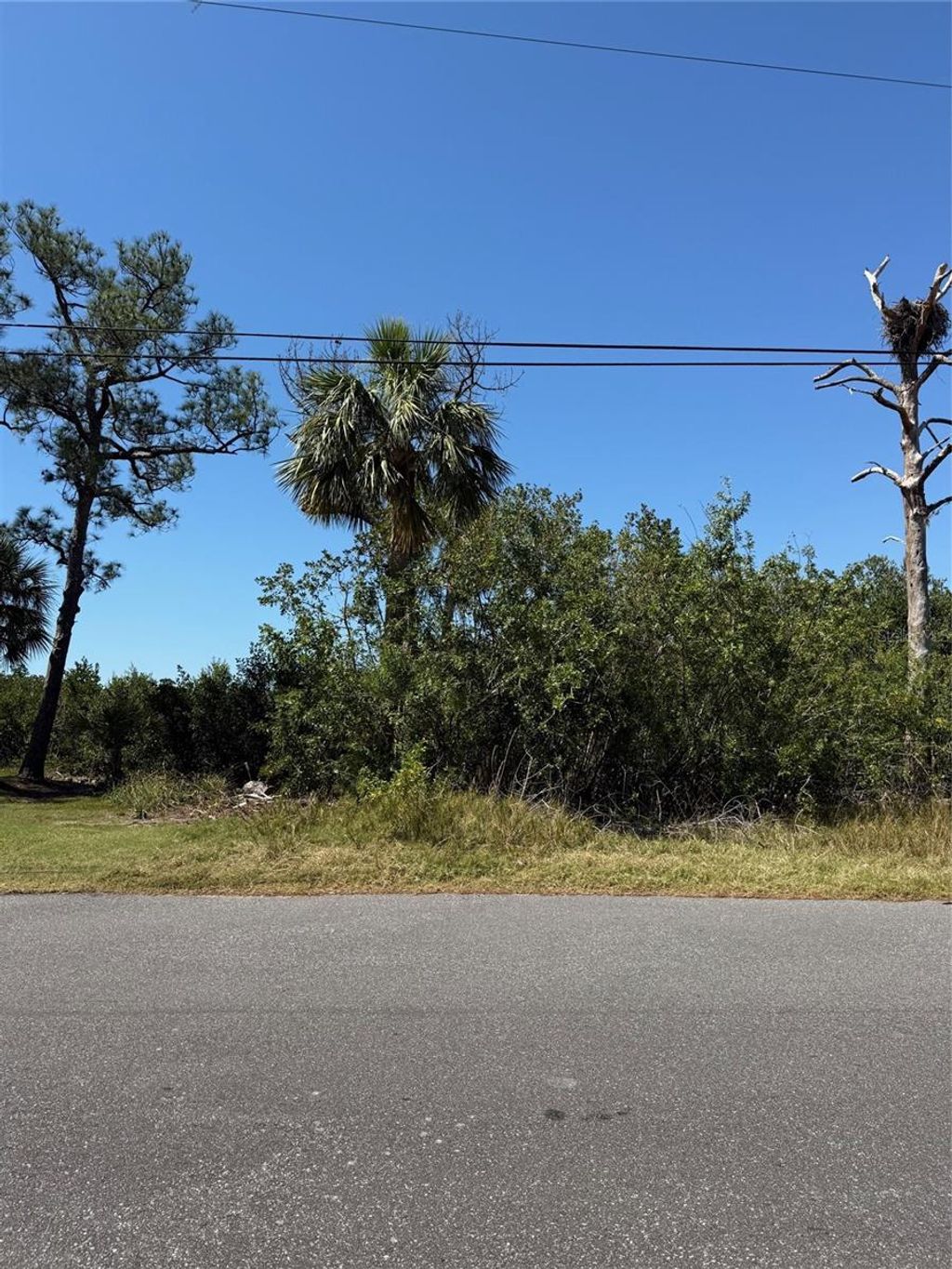 Photo of Sea Breeze Drive, Tarpon Springs, FL 34689 (MLS # O6302714)