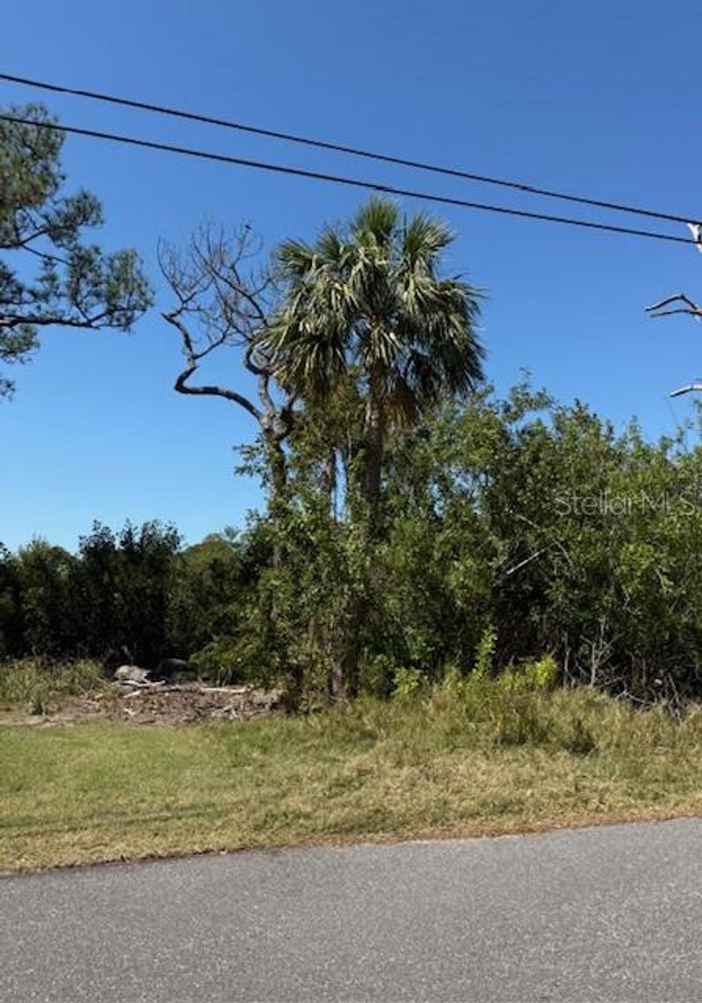 Photo of Sea Breeze Drive, Tarpon Springs, FL 34689 (MLS # O6302714)