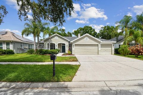 Photo of 15217 Octavia Lane, Odessa, FL 33556 (MLS # TB8398329)