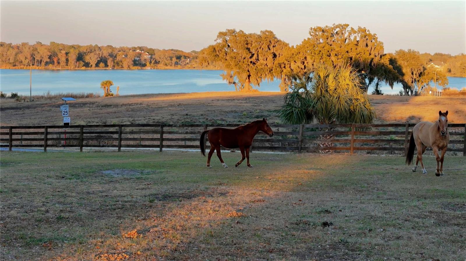 MAY JONES HEIGHTS - Land
