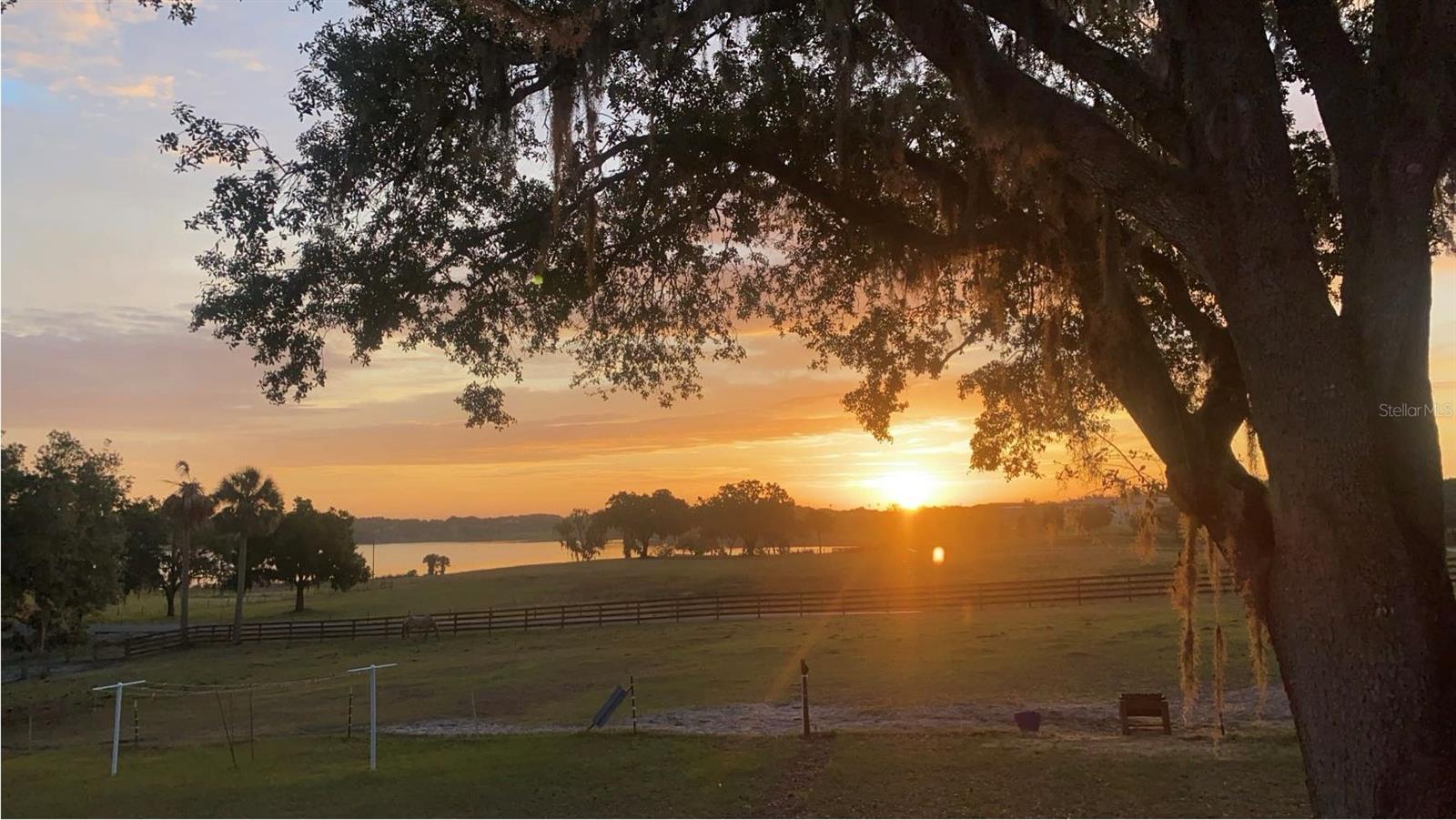 32935 JESSE JONES AVENUE