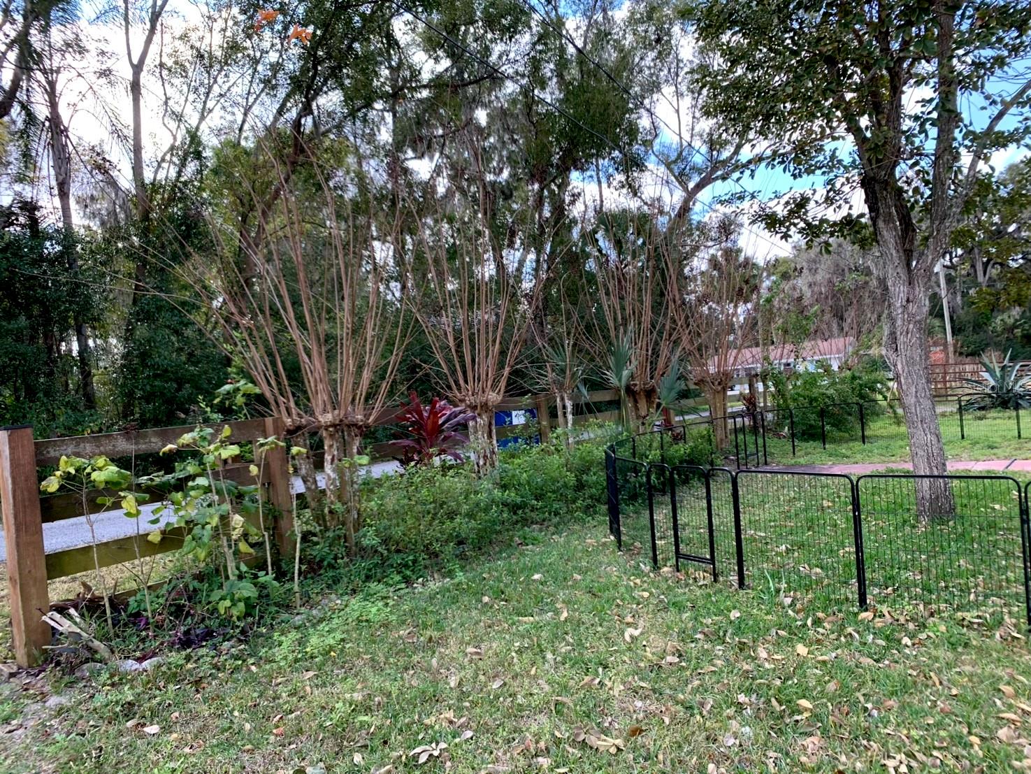 MAY JONES HEIGHTS - Land