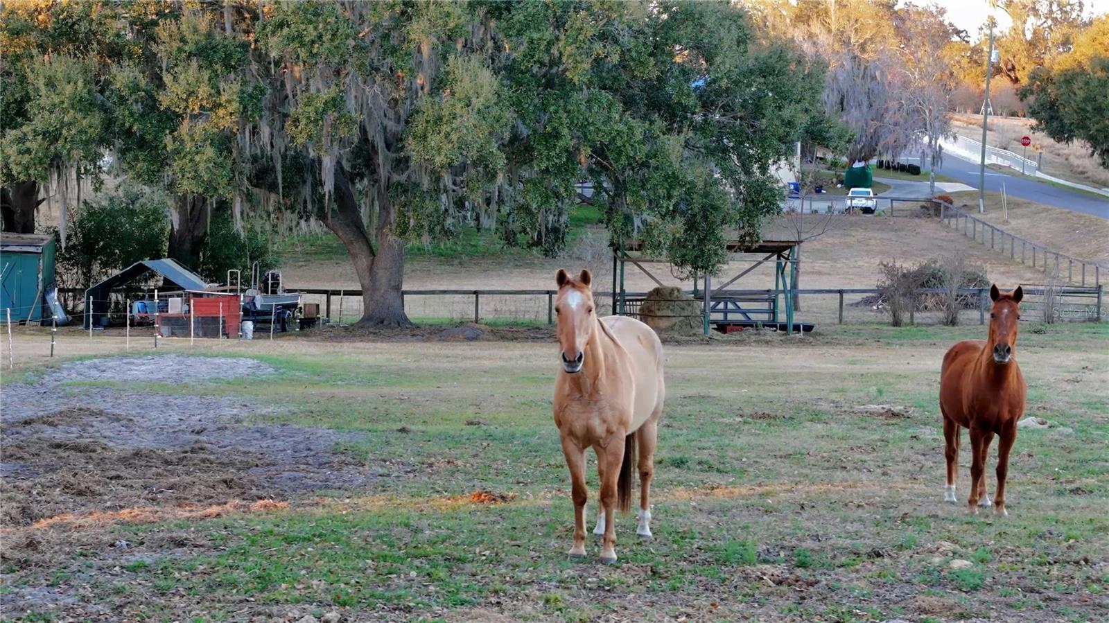 MAY JONES HEIGHTS - Land