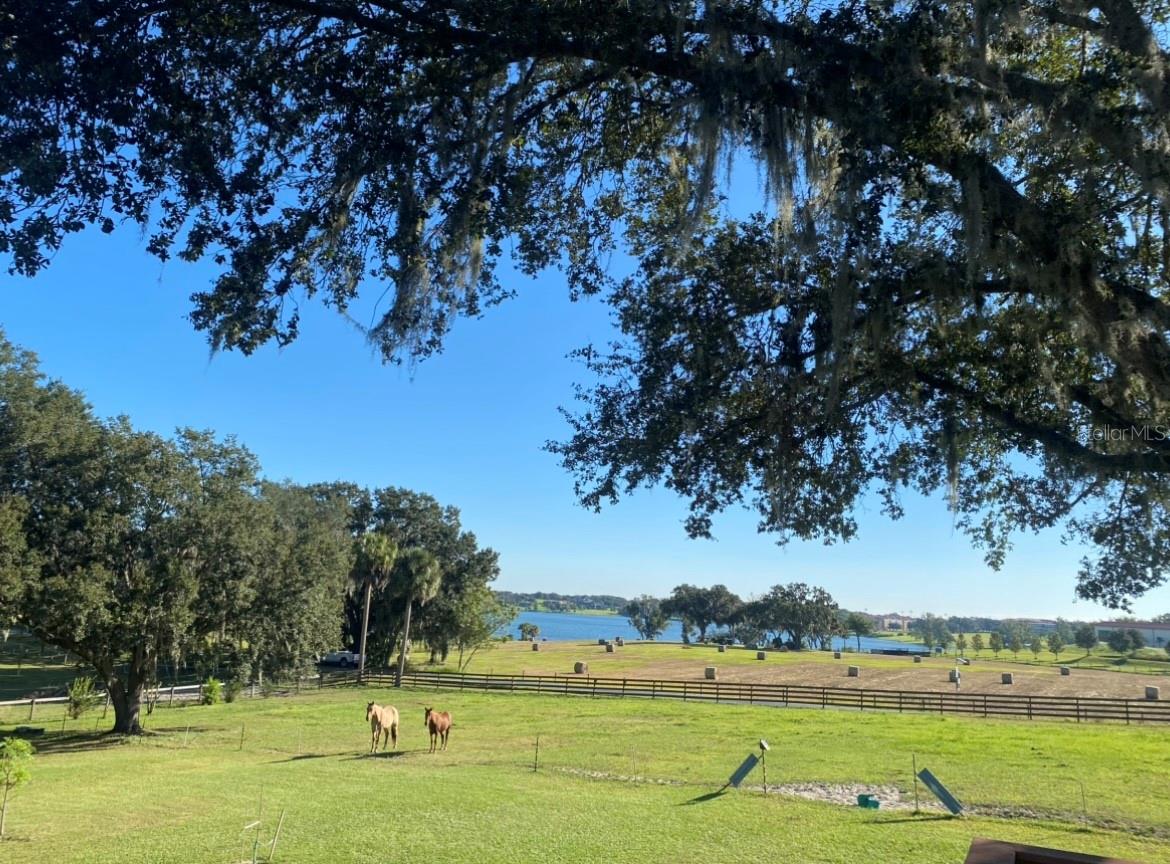 MAY JONES HEIGHTS - Land