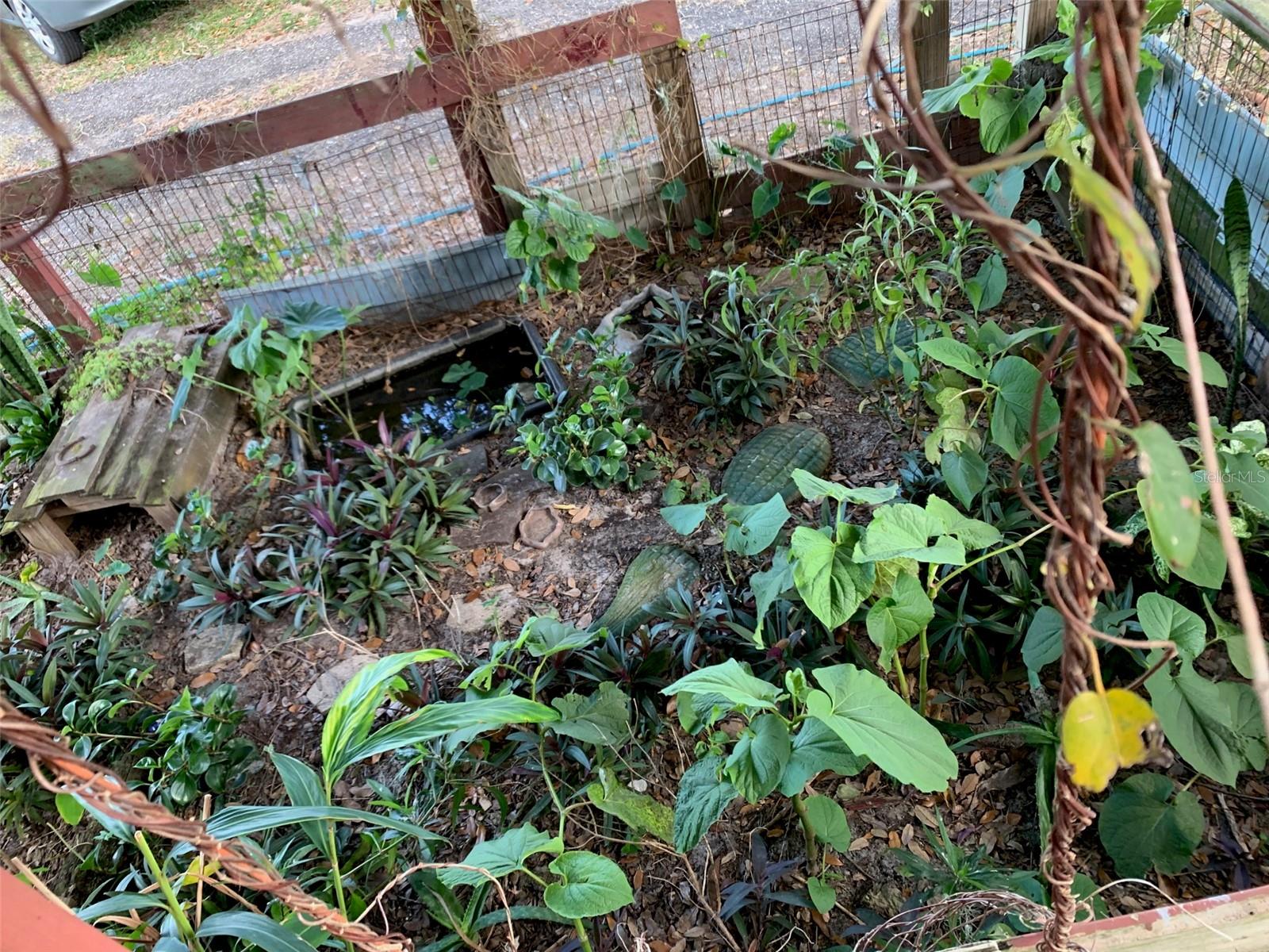 MAY JONES HEIGHTS - Land