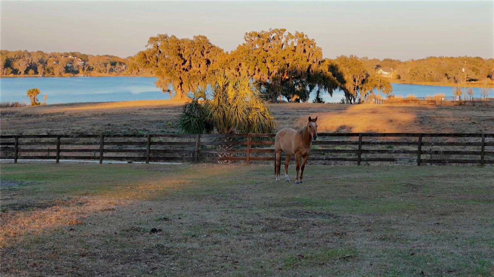 32935 JESSE JONES AVENUE