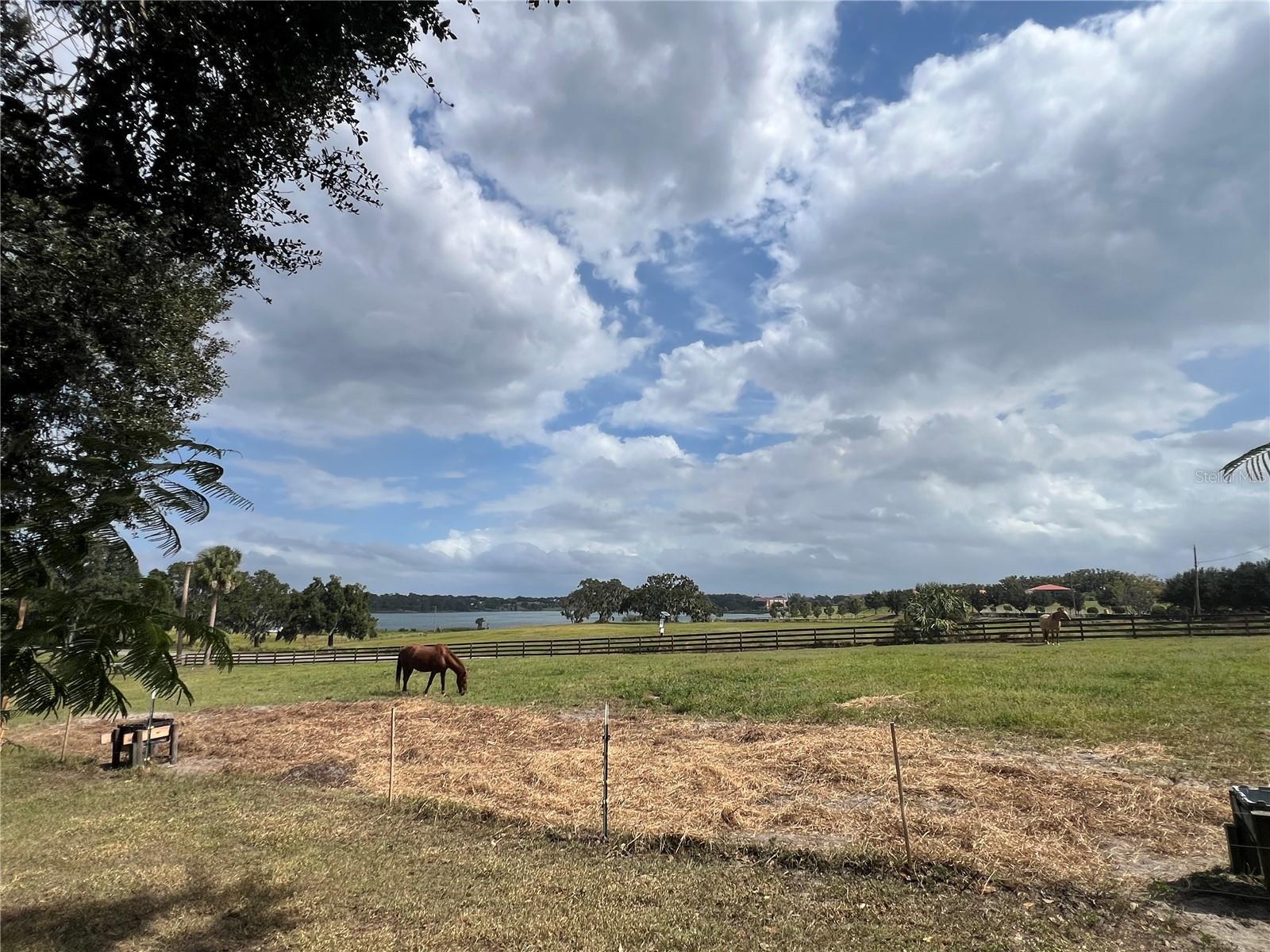 MAY JONES HEIGHTS - Land