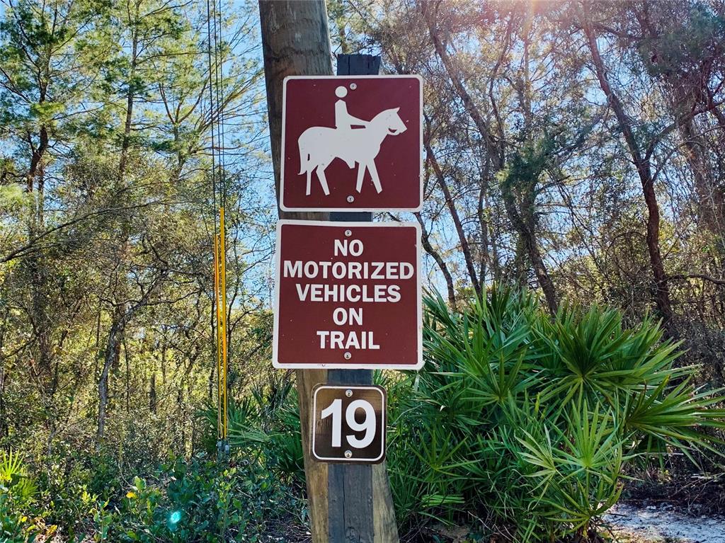 SEMINOLE WOODS 5 AC DEV - Land