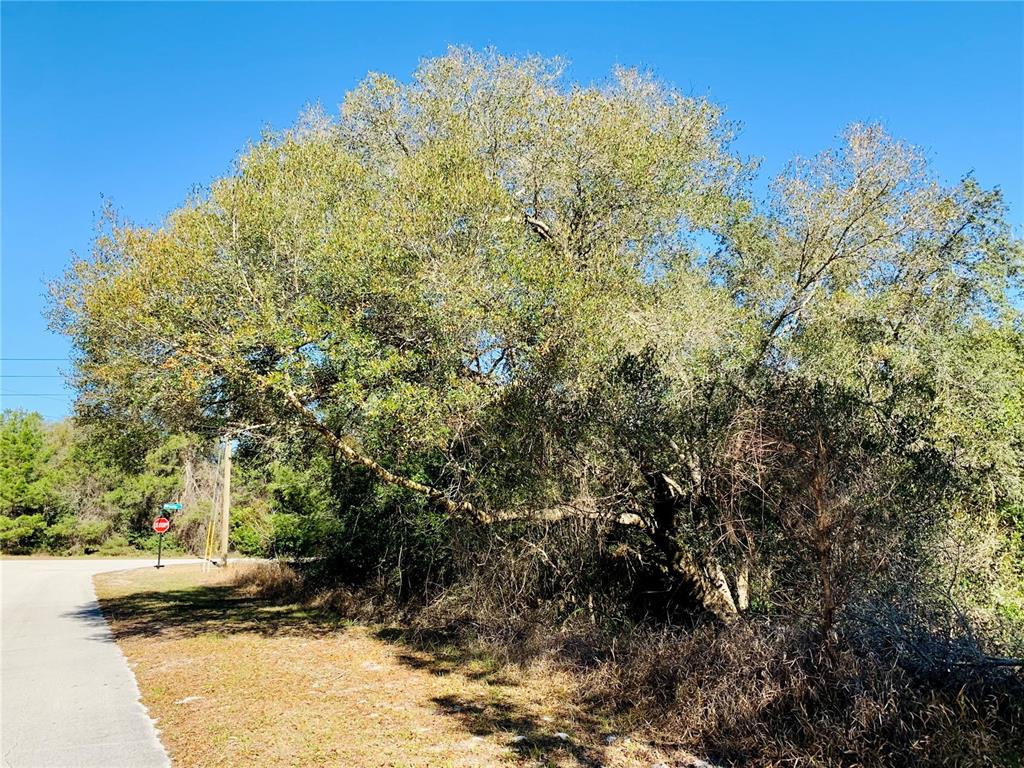 SEMINOLE WOODS 5 AC DEV - Land