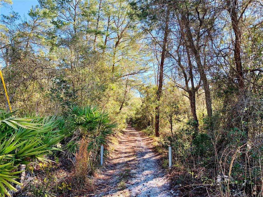SEMINOLE WOODS 5 AC DEV - Land
