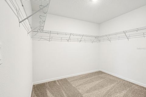 Tiny photo for 30158 Rustic Mill Street, Mount Dora, FL 32757 (MLS # O6286431)