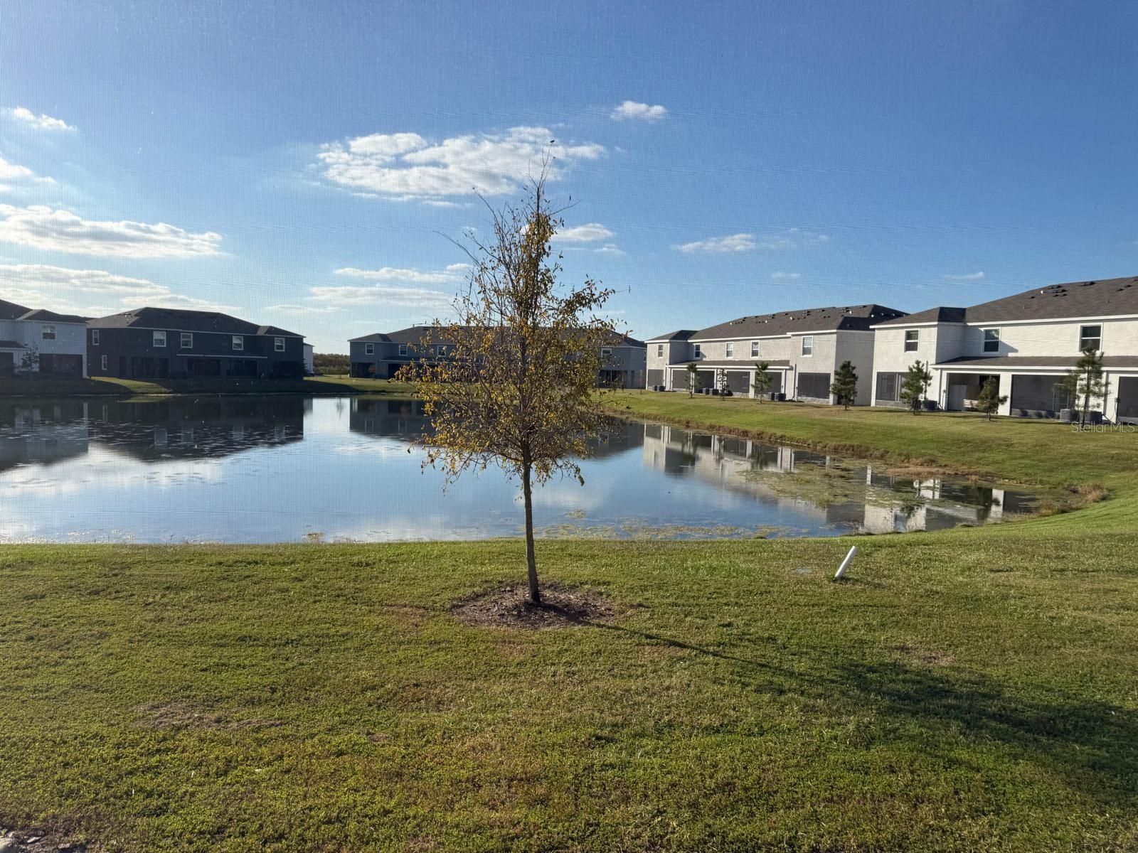 MEADOW RIDGE - Residential Lease