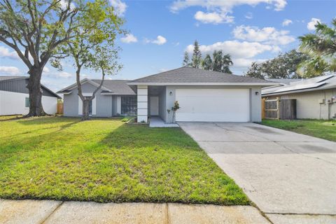 A home in TAMPA