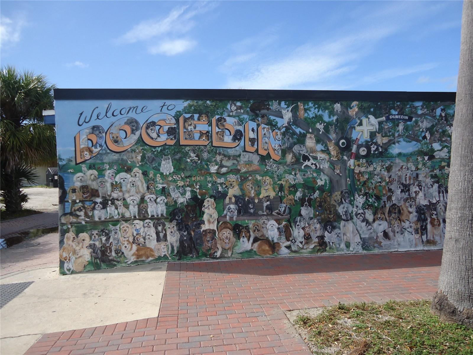 PATRICIAN OAKS - Residential