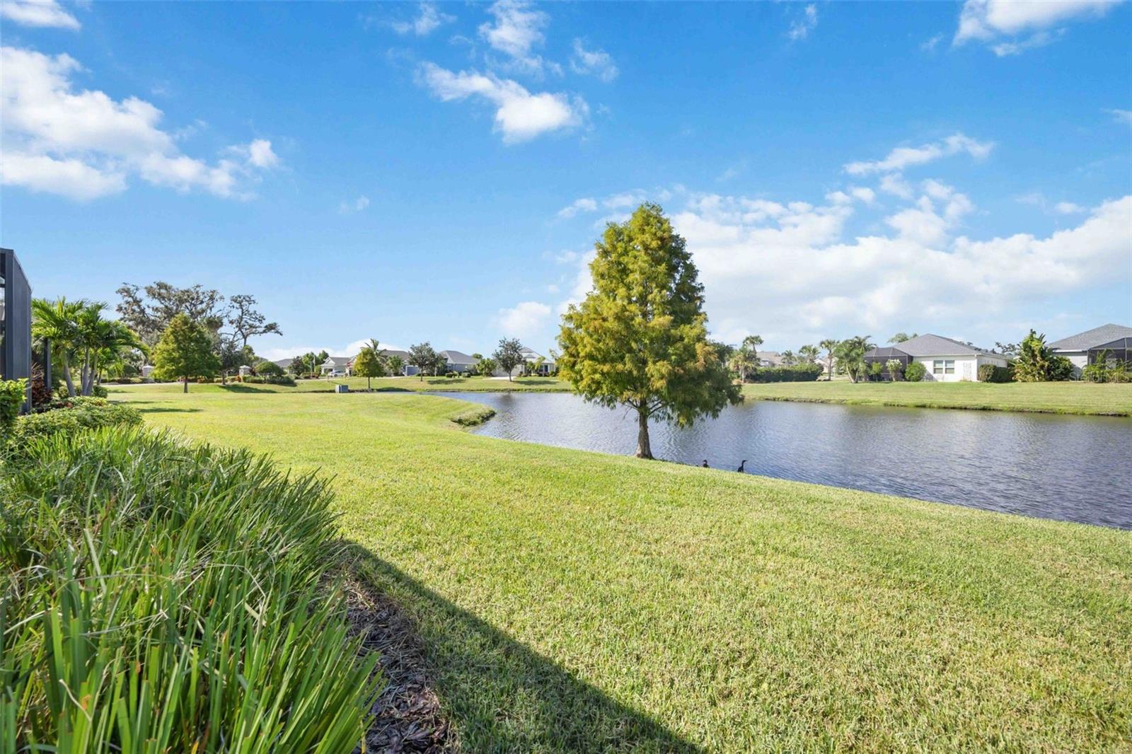 SILVERLEAF PH I-A - Residential