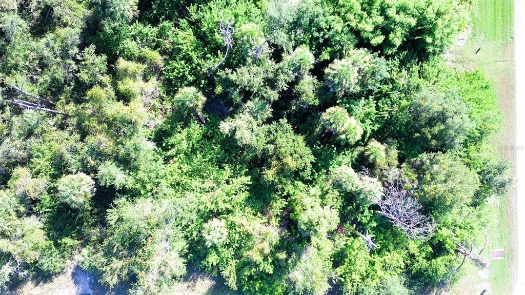 Photo of 199 Cougar Way, Rotonda West, FL 33947 (MLS # C7518424)