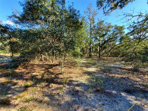 Lot 4 SW PARADISE HEIGHTS ROAD DUNNELLON FL 34431