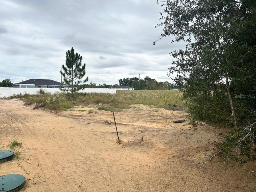 Photo of SW 28th Lane, Ocala, FL 34473 (MLS # A4671067)