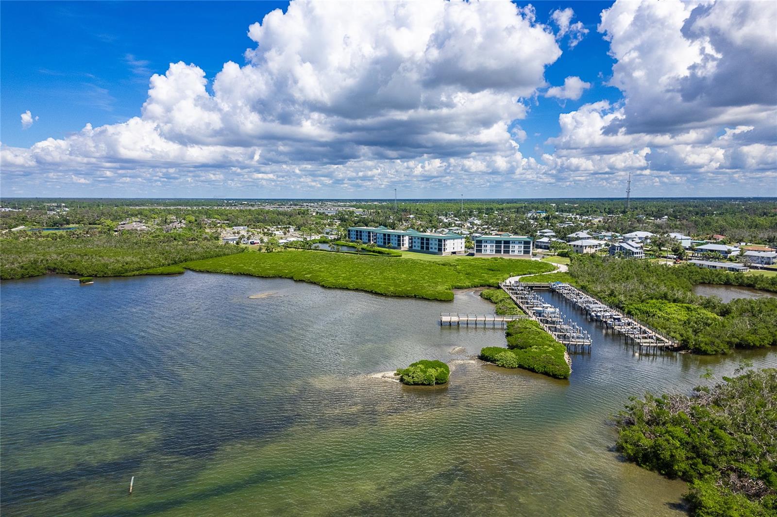 GRANDE PRESERVE ON LEMON BAY PH - Residential