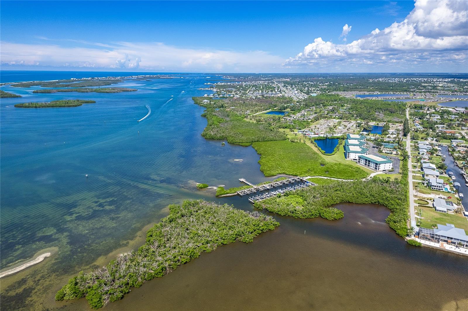 GRANDE PRESERVE ON LEMON BAY PH - Residential