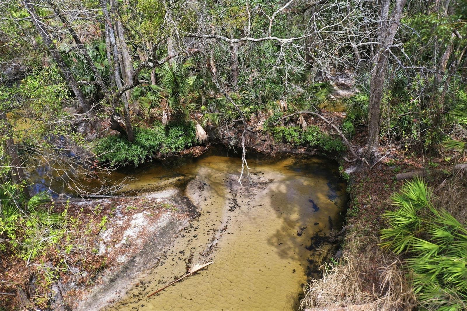 WICKLOW GREENS AT TUSCAWILLA - Residential