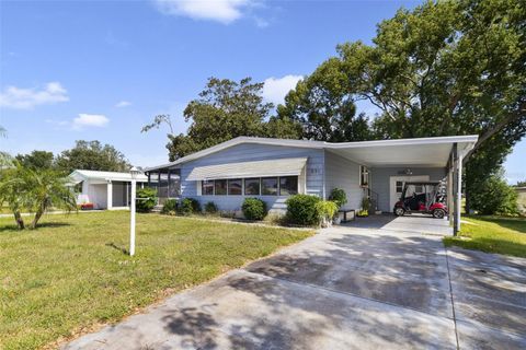 A home in LADY LAKE