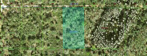 Photo of Inaccessible Tract, Kathleen, FL 33849 (MLS # K4903512)