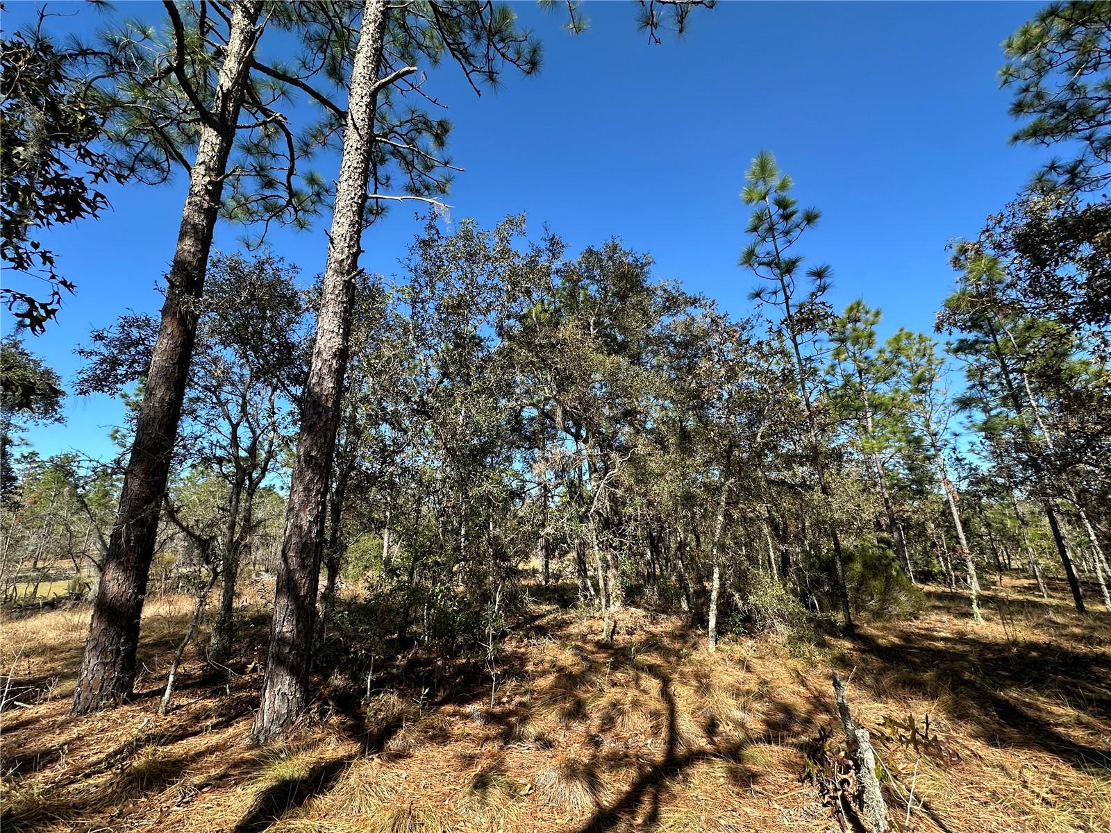 WILLISTON HIGHLANDS UNIT 7 - Land