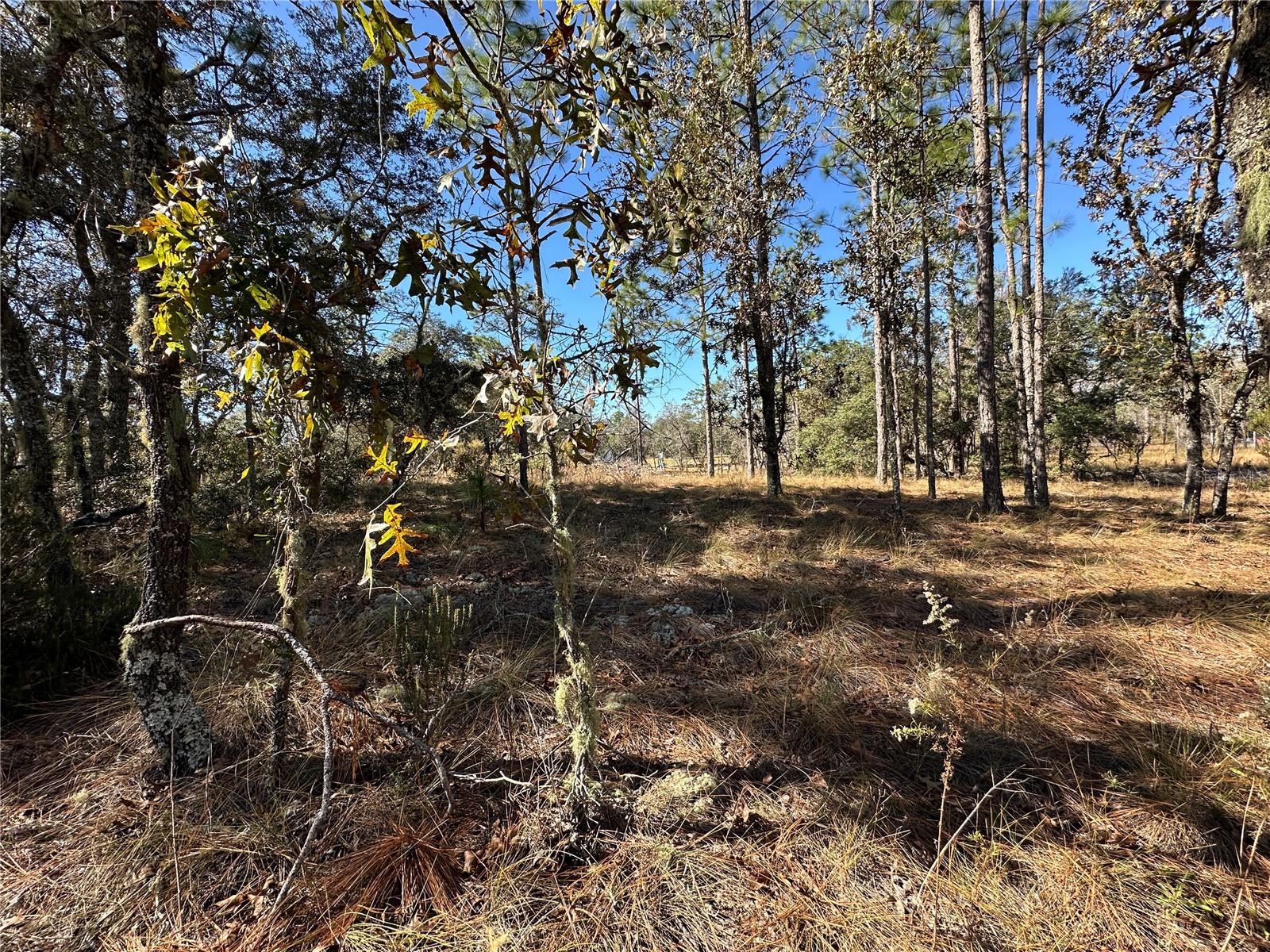 WILLISTON HIGHLANDS UNIT 7 - Land