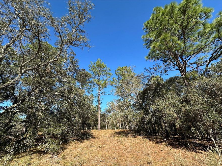WILLISTON HIGHLANDS BUILDING LOT. 1.25 Acres on a hill, high and dry. Lightly wooded and ready for your manufactured or site-build home. Twelve minutes from Williston, where you can fill all your needs. Grocery stores, restaurants, drive-throughs, churches, and a list of health and well-being providers. 35 minutes to Crystal River for your weekend breaks and an easy drive to Gainesville and Ocala for city errands. Country living and convenience at its best.