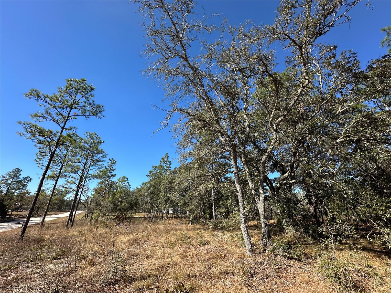 WILLISTON HIGHLANDS UNIT 7 - Land