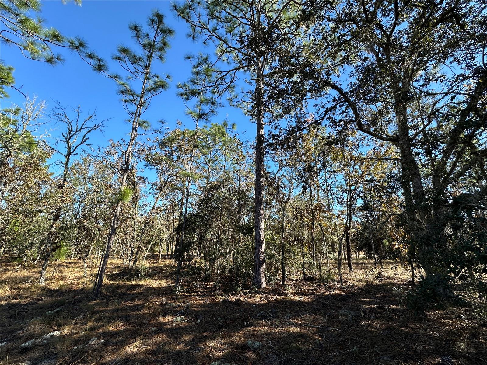 WILLISTON HIGHLANDS UNIT 7 - Land